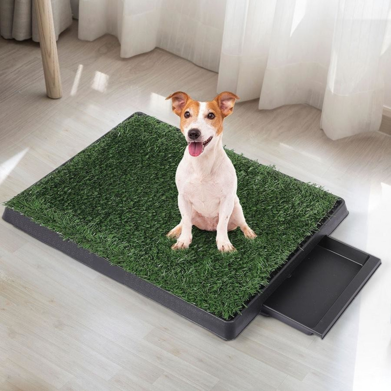 Grass Toilet Training Mat For Dogs product photo — EasyGardenTools