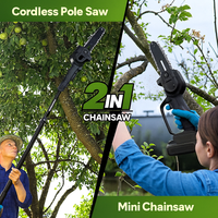 Easygardentools™ Extendable 2-in-1 Mini Chainsaw Kit + 2 FREE Batteries