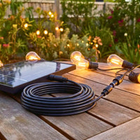 Festoon Extension Cable (3M)