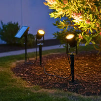 SolaGarden™ Spot Light Pack