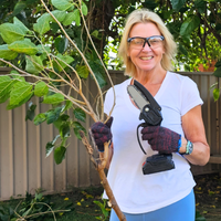 SolaGarden™ 6" Electric Chainsaw Kit