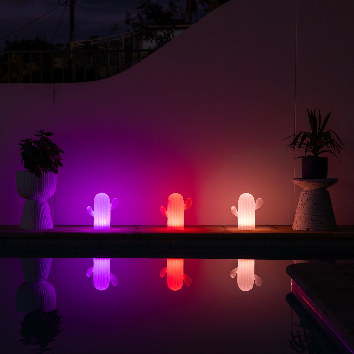 Solar Cactus Light | Multi-colour Settings | SAGUARO