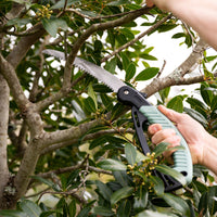 Pruning Saw