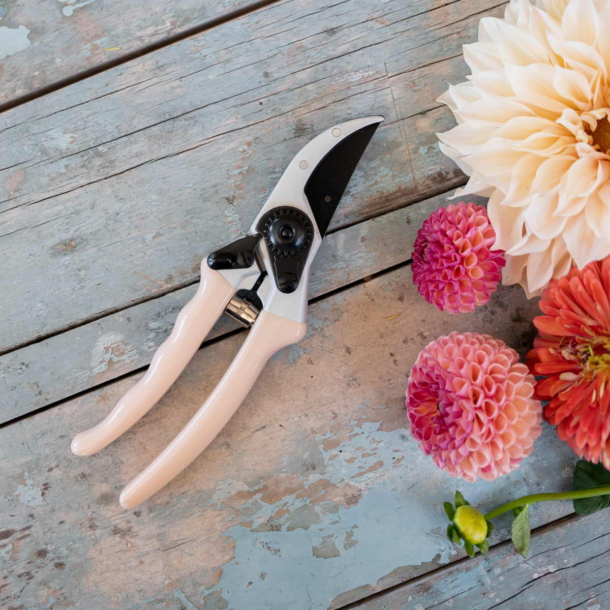 Secateurs 225mm | Peach