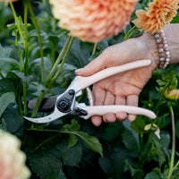 Secateurs 225mm | Peach