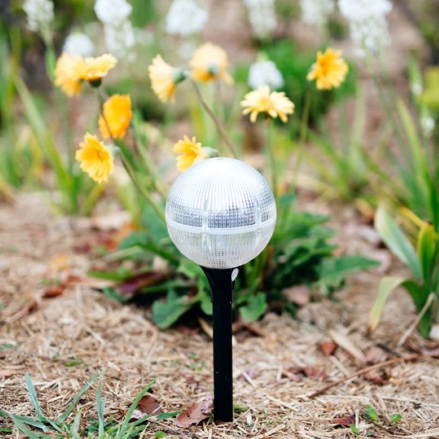Solar Garden Globe | 2 Pack | RADIANCE