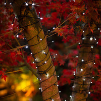 Solar Fairy Lights | Cool White | 150 LED | 16.5m | PIXIE