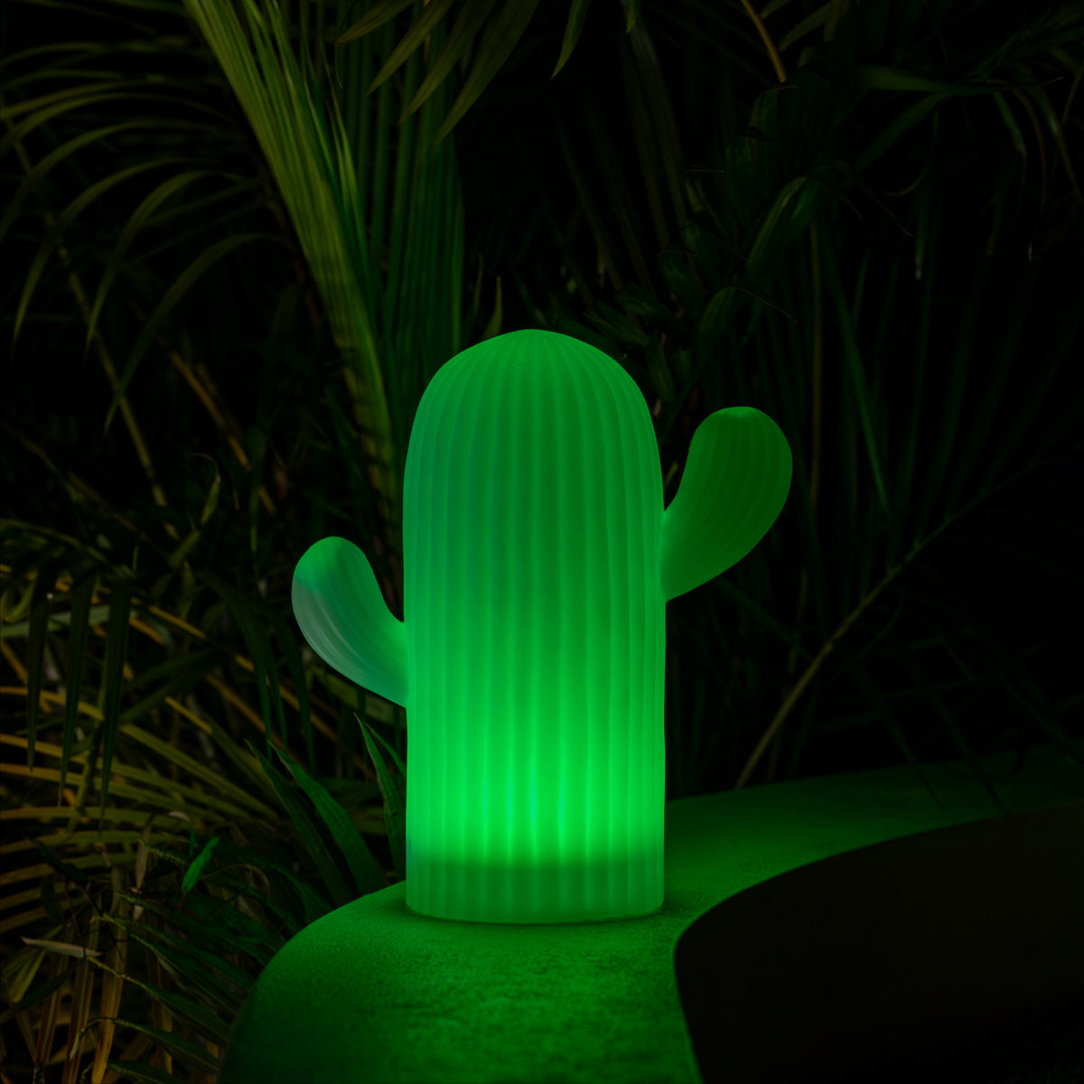 Solar Cactus Light | Multi-colour Settings | SAGUARO