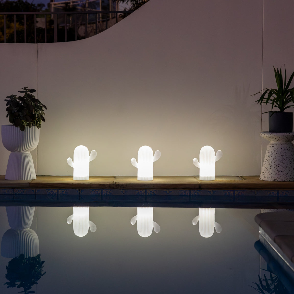 Solar Cactus Light | Multi-colour Settings | SAGUARO
