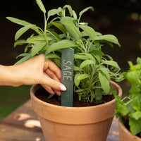 Recycled Plastic Plant Labels | Sage | 5 Pack