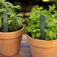 Recycled Plastic Plant Labels & Marker Pen Pack