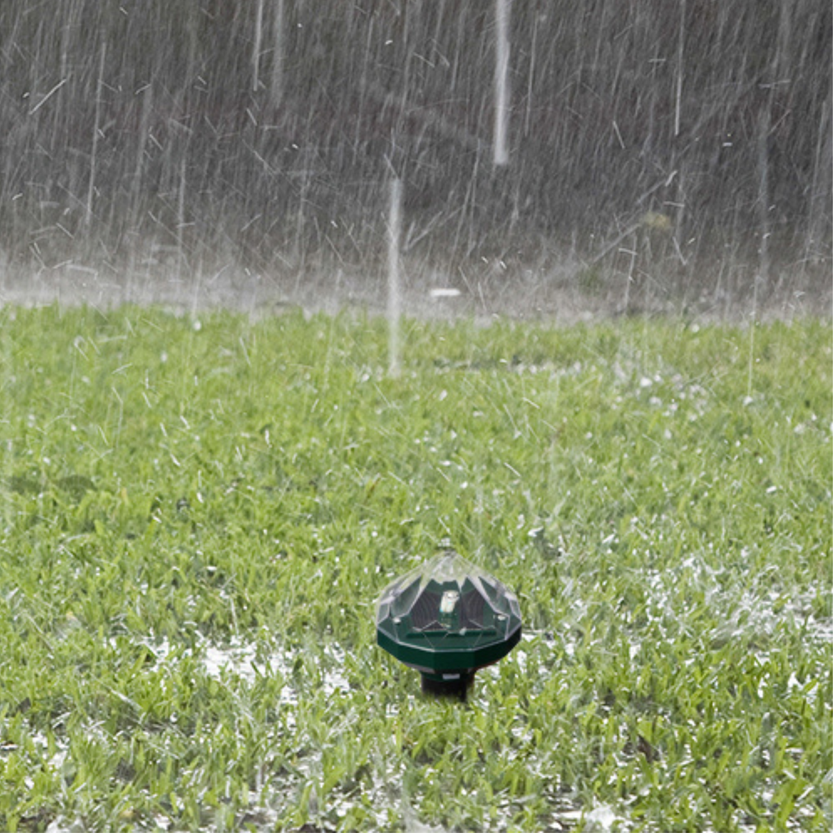 Easygardentools™ Solar Snake Repeller