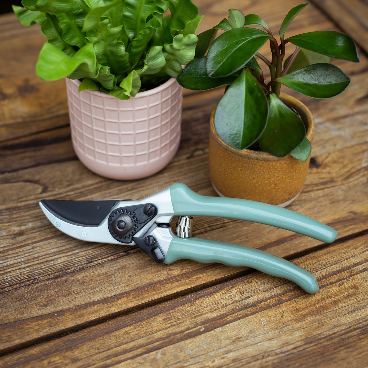 Secateurs 225mm | Sage