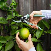 Secateurs 225mm | Sage
