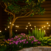 Easygardentools™ Signature Bundle