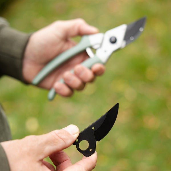 Secateurs | Replacement Blade