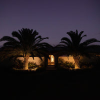 Solar LED PVC Rope Light | 30m | FLEX