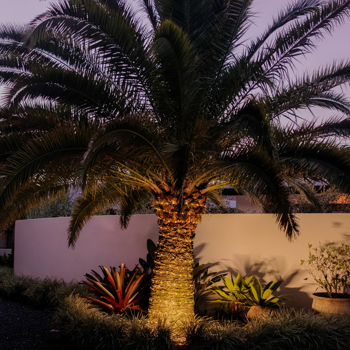 Solar LED PVC Rope Light | 30m | FLEX