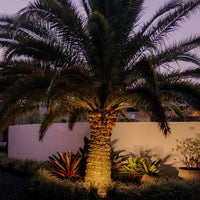 Solar LED PVC Rope Light | 30m | FLEX