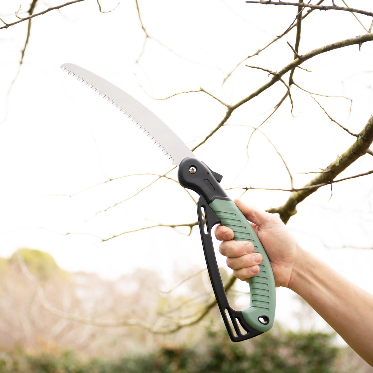 Pruning Saw