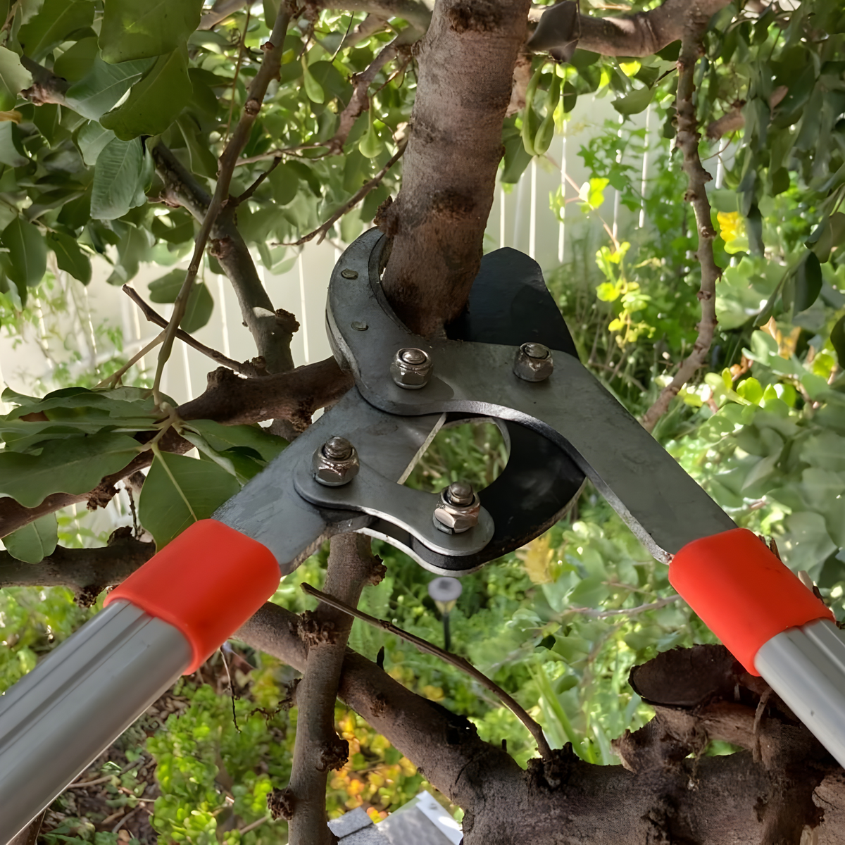 Easygardentools™ Extendable Tree Pruner