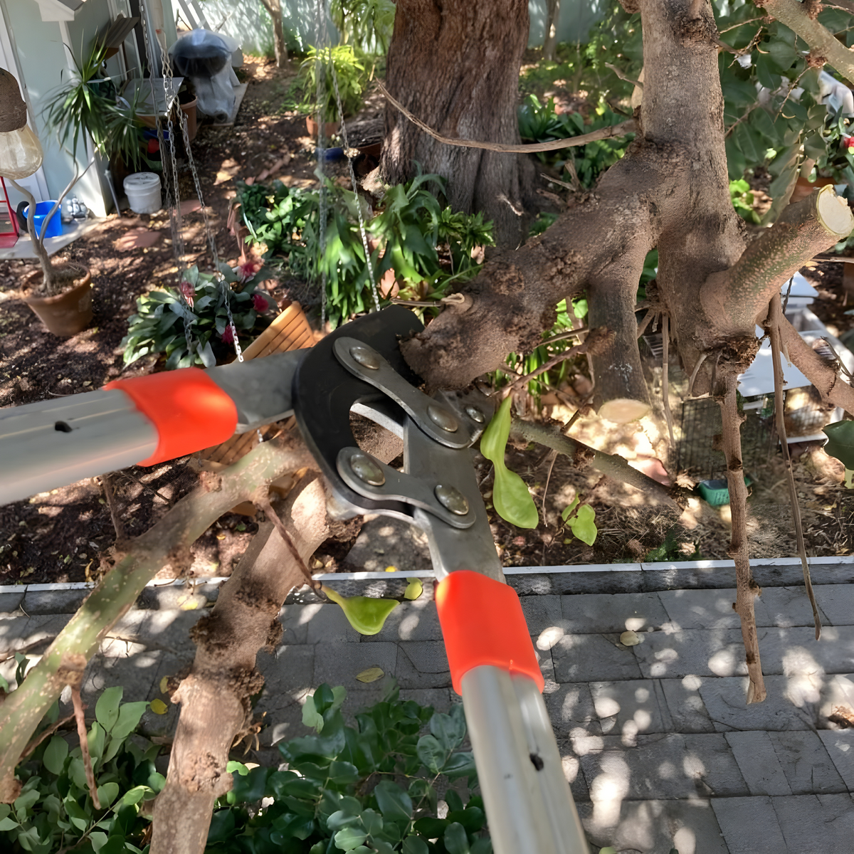 Easygardentools™ Extendable Tree Pruner