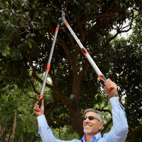 Easygardentools™ Extendable Tree Pruner