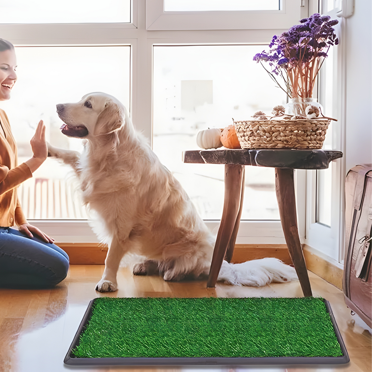 Easygardentools™ Grass Toilet Training Mat For Dogs