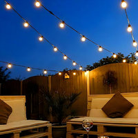 Easygardentools™ 20m Weather-Proof LED Festoon Lights