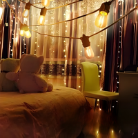 Easygardentools™ 20m Weather-Proof LED Festoon Lights