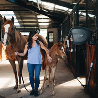 Classic 20m Retractable Hose Reel | Charcoal