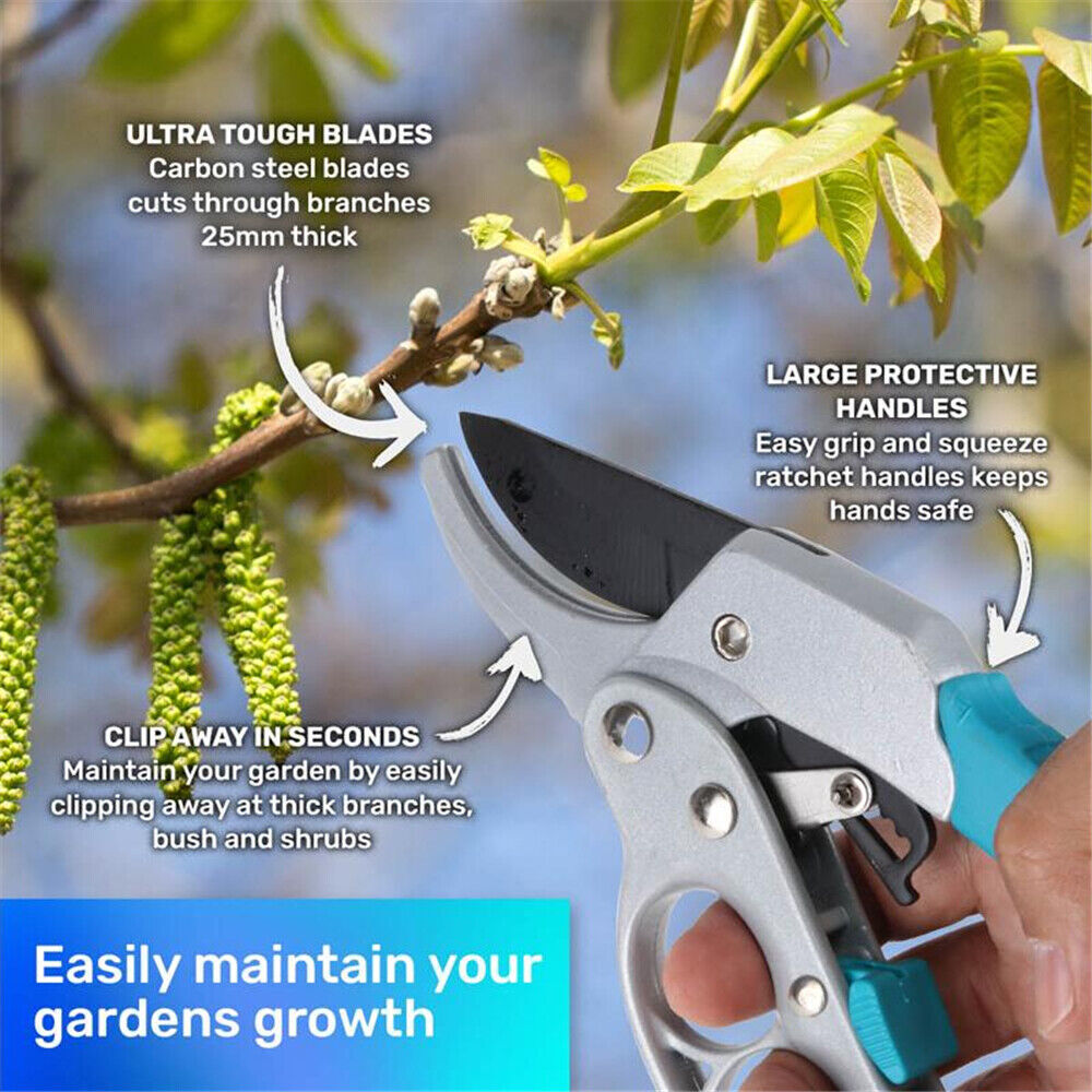 Ratchet Pruning Secateurs – 20cm – product details