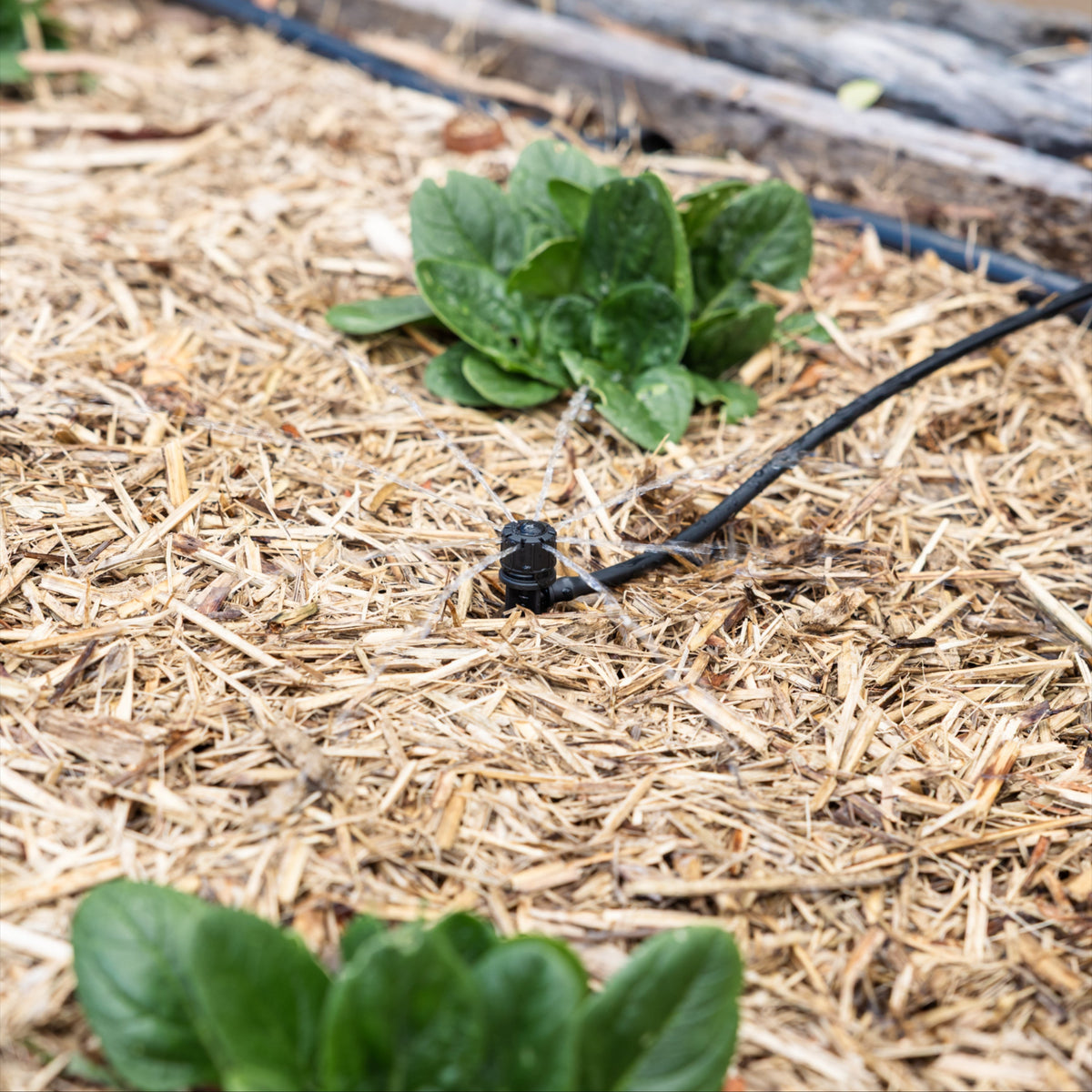 Irrigation Kit | Adjustable Drip Spike 360°