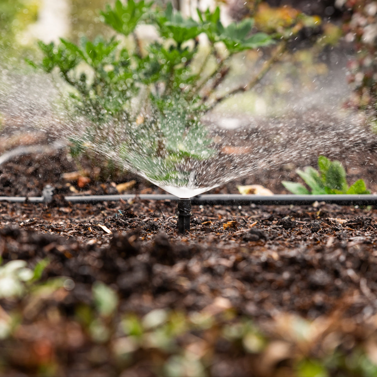 Adjustable Spray Irrigation Kit