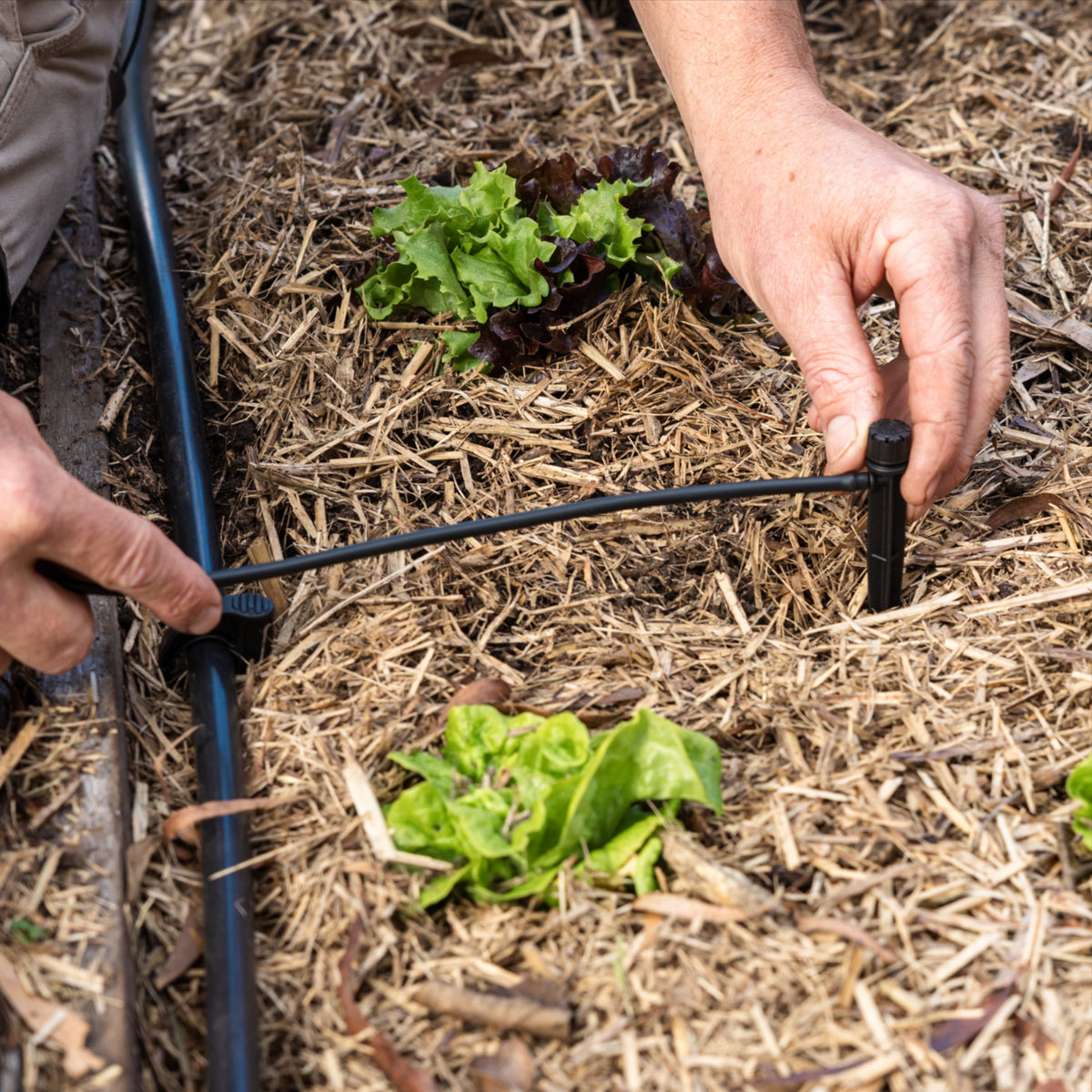 Irrigation Kit | 4mm Micro Tubing | 10m