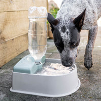 Auto-fill Pet Bowl + 5m Hose & Tap Connector