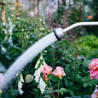 Long-reach Shower Spray Wand