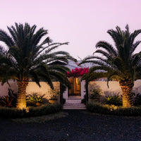 Solar LED PVC Rope Light | 30m | FLEX